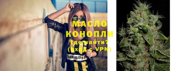 прущая мука Вяземский