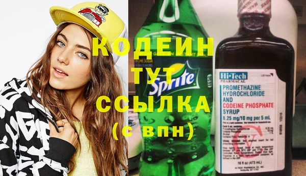 гашик Тобольск