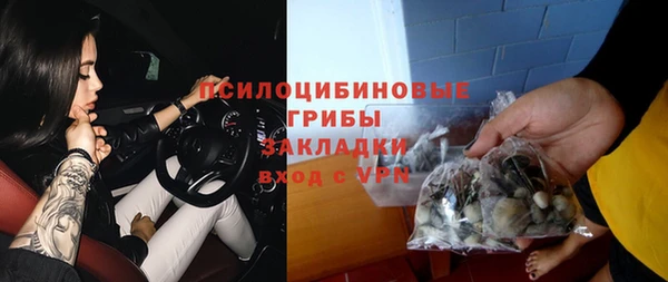 прущая мука Вяземский