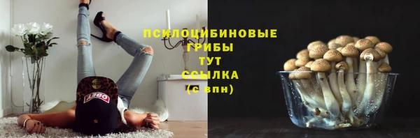 шишки Вязьма