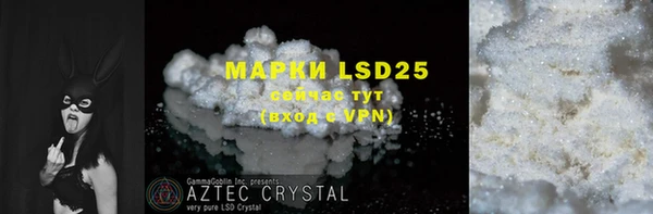 прущая мука Вяземский
