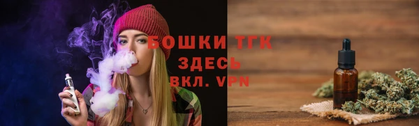 гашик Тобольск