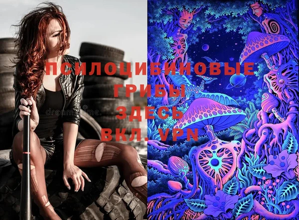 шишки Вязьма