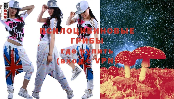 шишки Вязьма