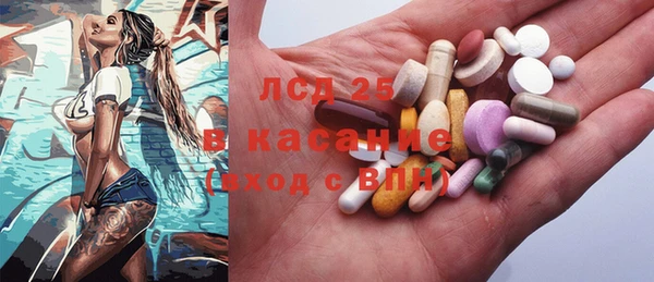амф Заречный
