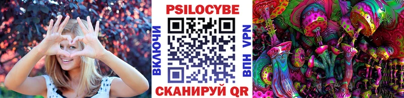 где купить   Ветлуга  Галлюциногенные грибы прущие грибы 